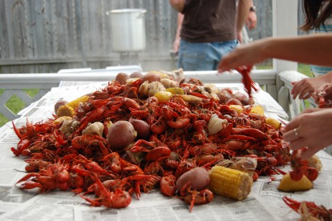Crawfish