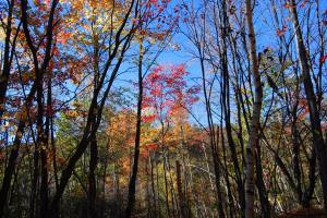 7489459198_df8293017f_o