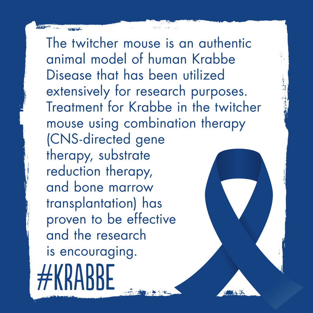 Leukodystrophy Awareness Month – Day&nbsp;Twenty-Four