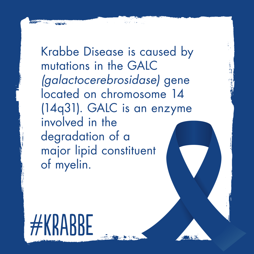 Leukodystrophy Awareness Month – Day&nbsp;Three