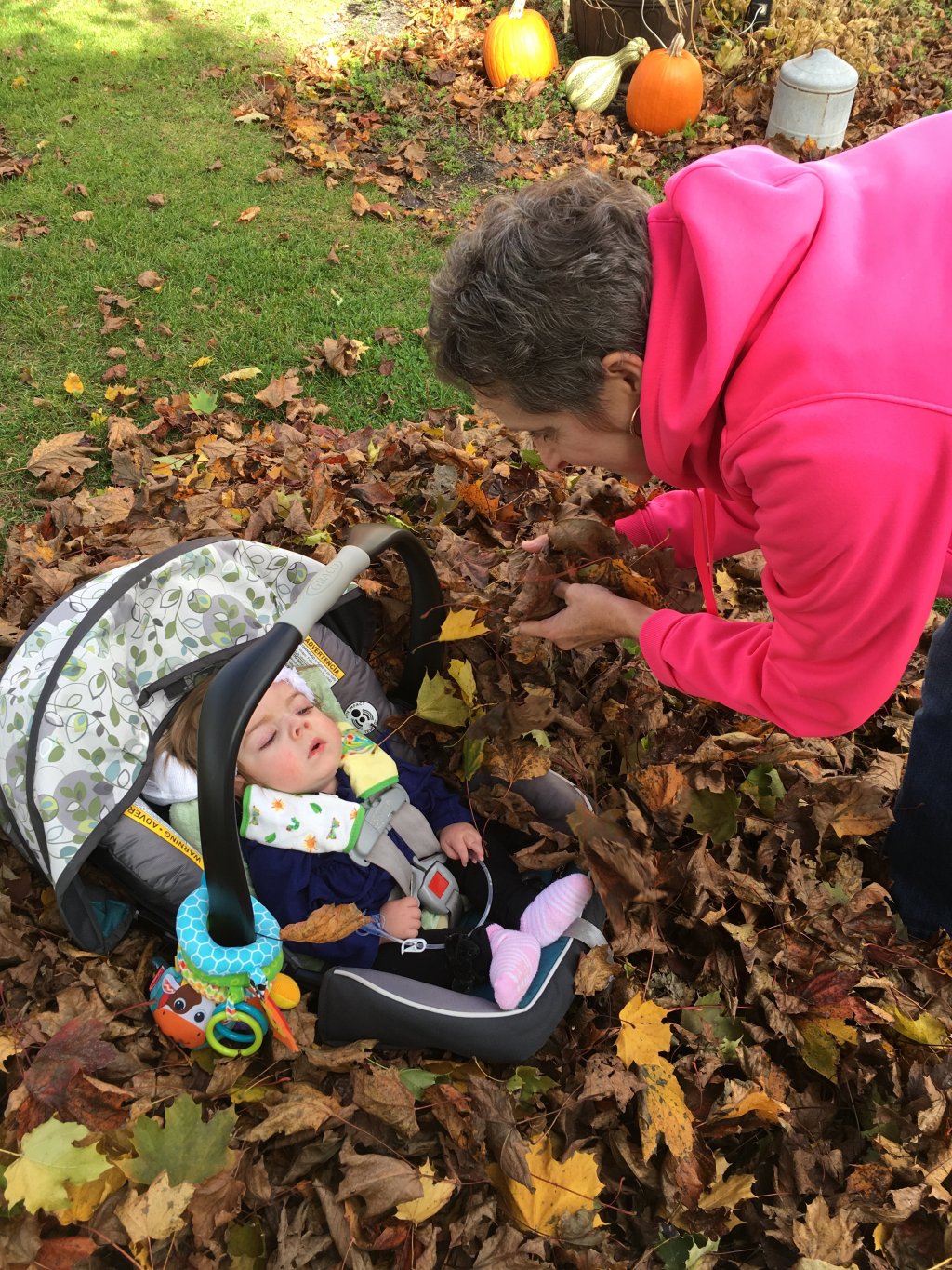 Tori’s Bucket List: Play in the&nbsp;Leaves