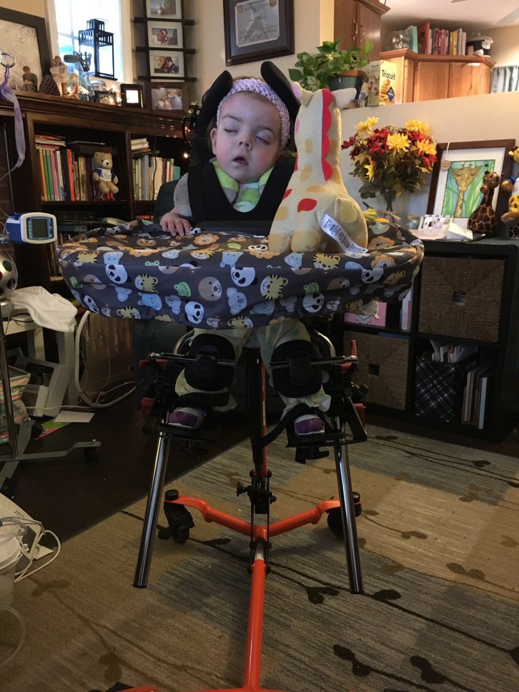 Tori’s Stander