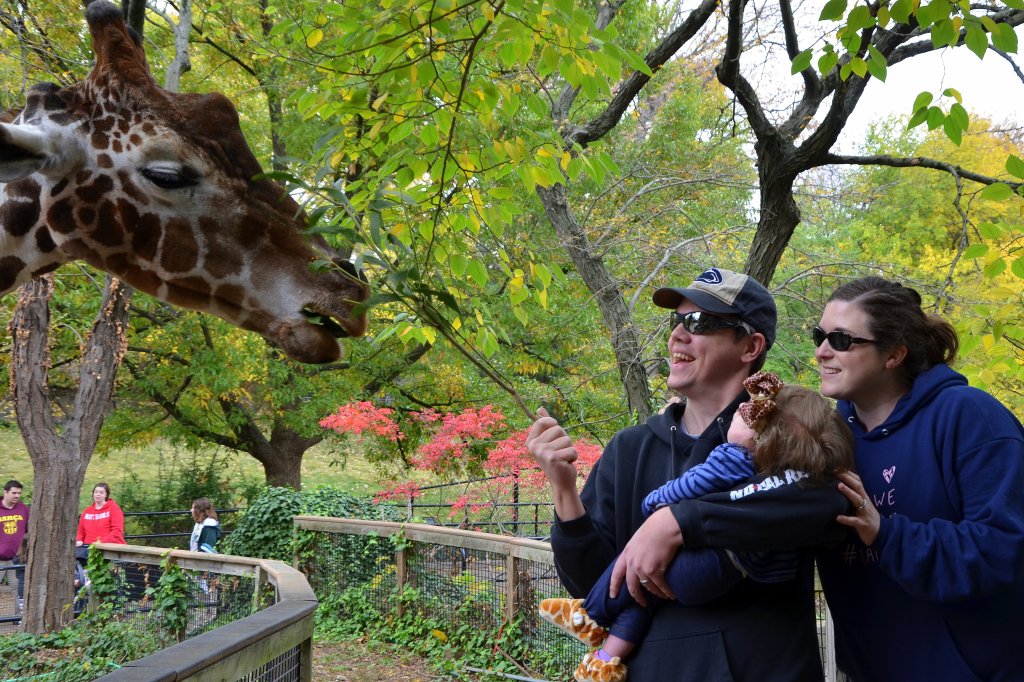 Tori’s Bucket List: Feed Giraffes (Philadelphia&nbsp;Edition)