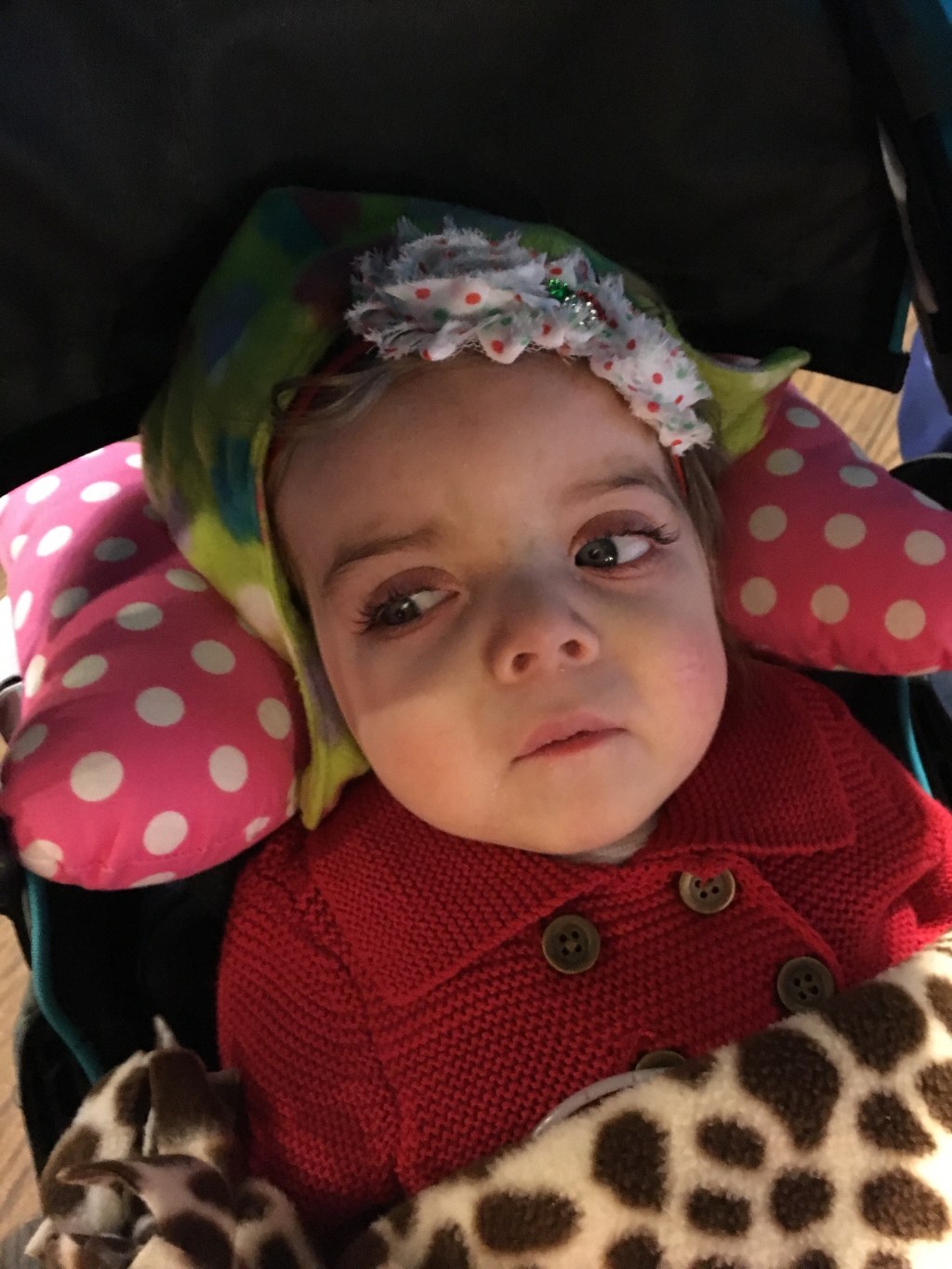 Tori’s Bucket List: See Reindeer at&nbsp;Hersheypark
