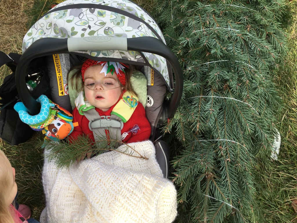Tori’s Bucket List: Cut Our Own Christmas&nbsp;Tree
