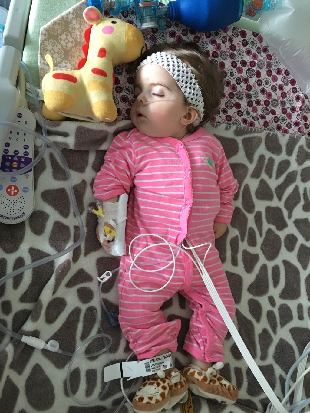 Updates on Tori