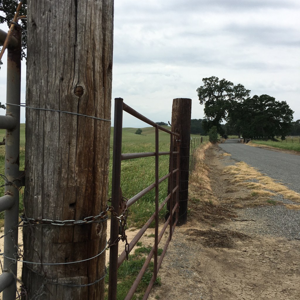 Exploring Red Bluff
