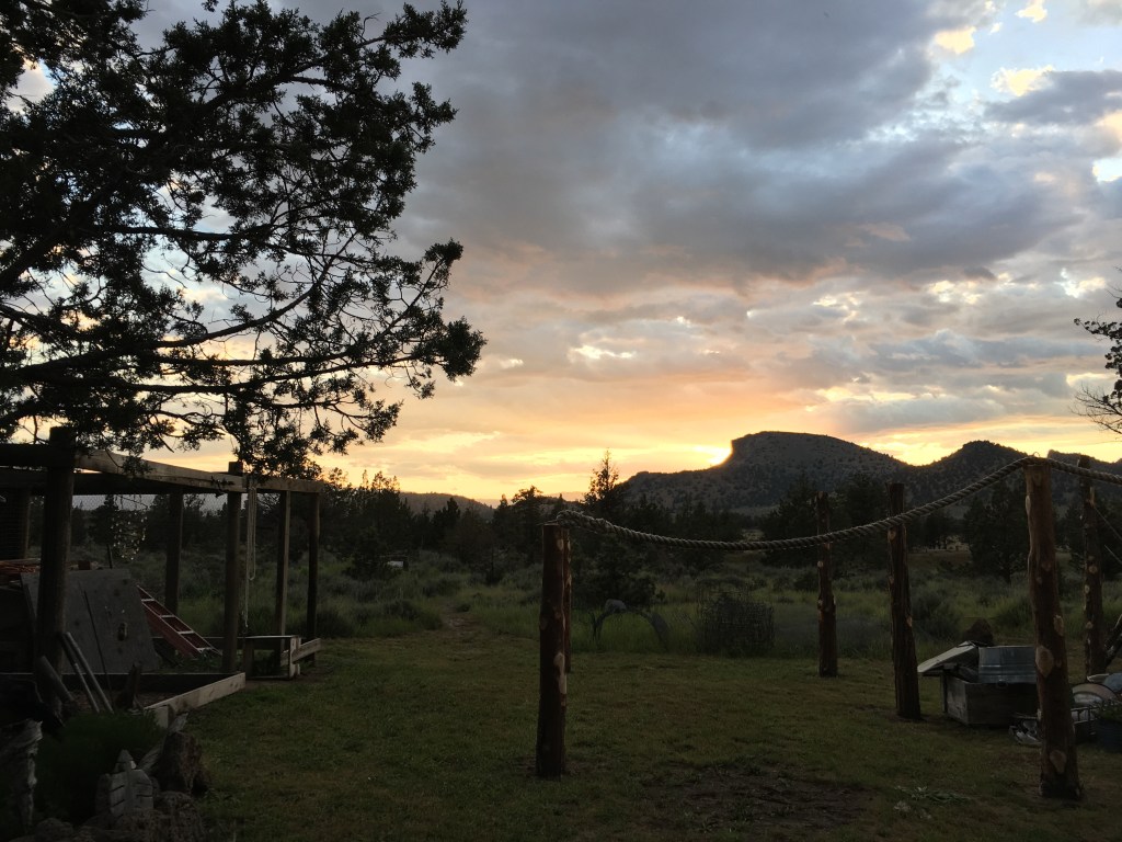 Removing the Sting of Death, Part&nbsp;Three
