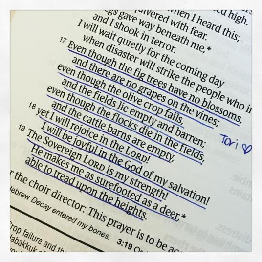 13416979_10100546623474540_7869969881009935458_o