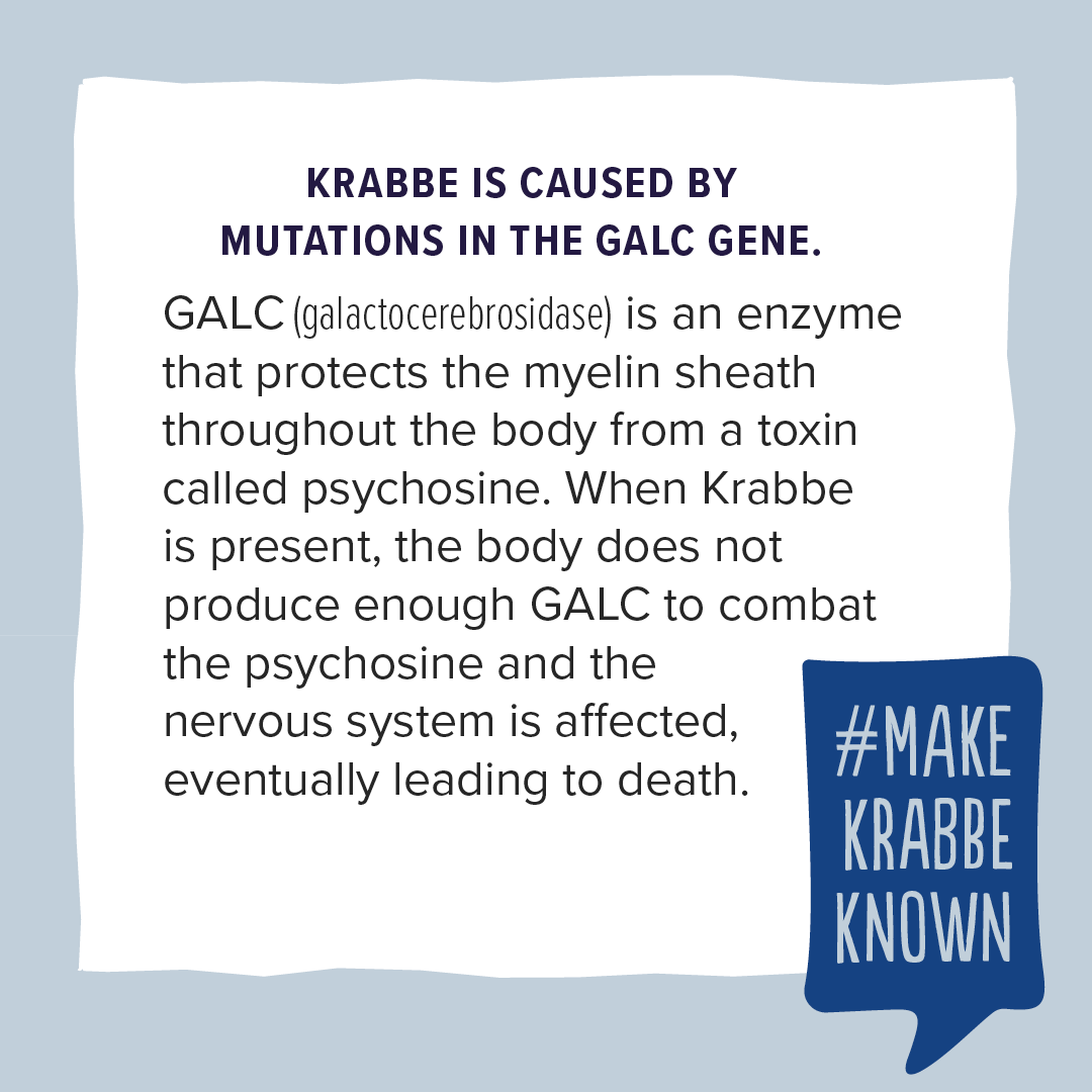 Krabbe Awareness - 3