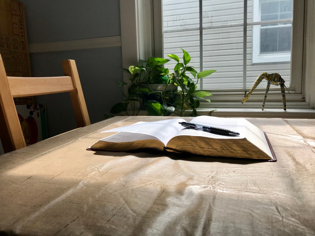 Joyful Sadness (Ezra&nbsp;3:10-13)