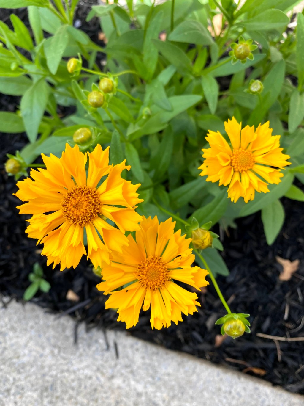 Being Misunderstood & Offering&nbsp;Grace