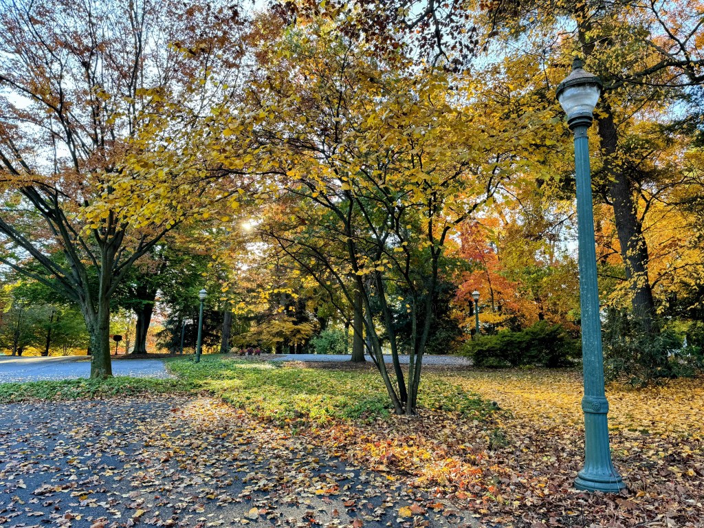 How Listening to Understand Transformed My Advocacy&nbsp;Efforts